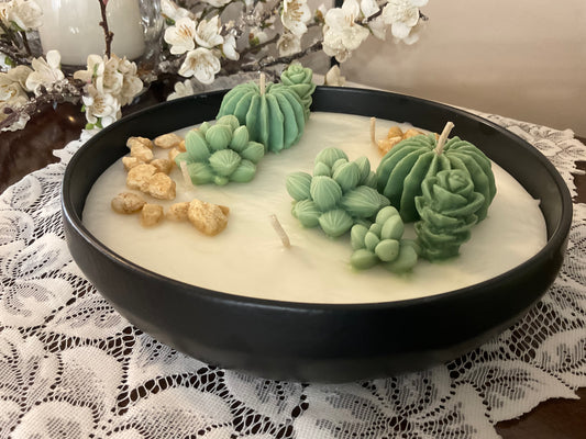 Large succulent candle