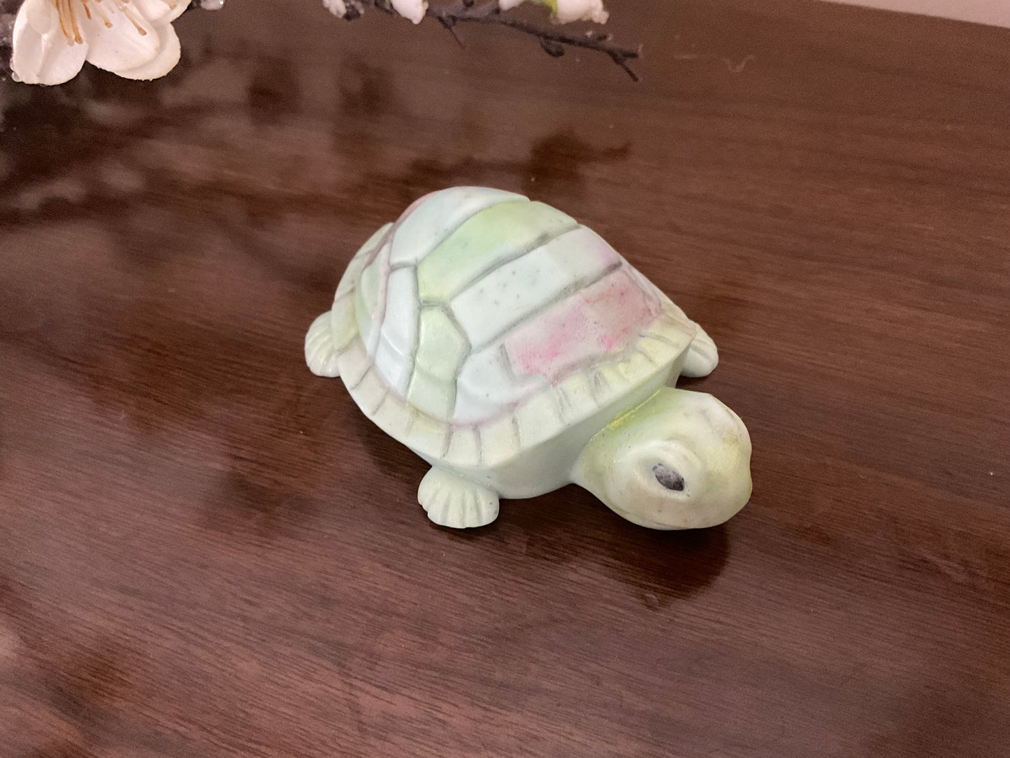 Turtle soaps