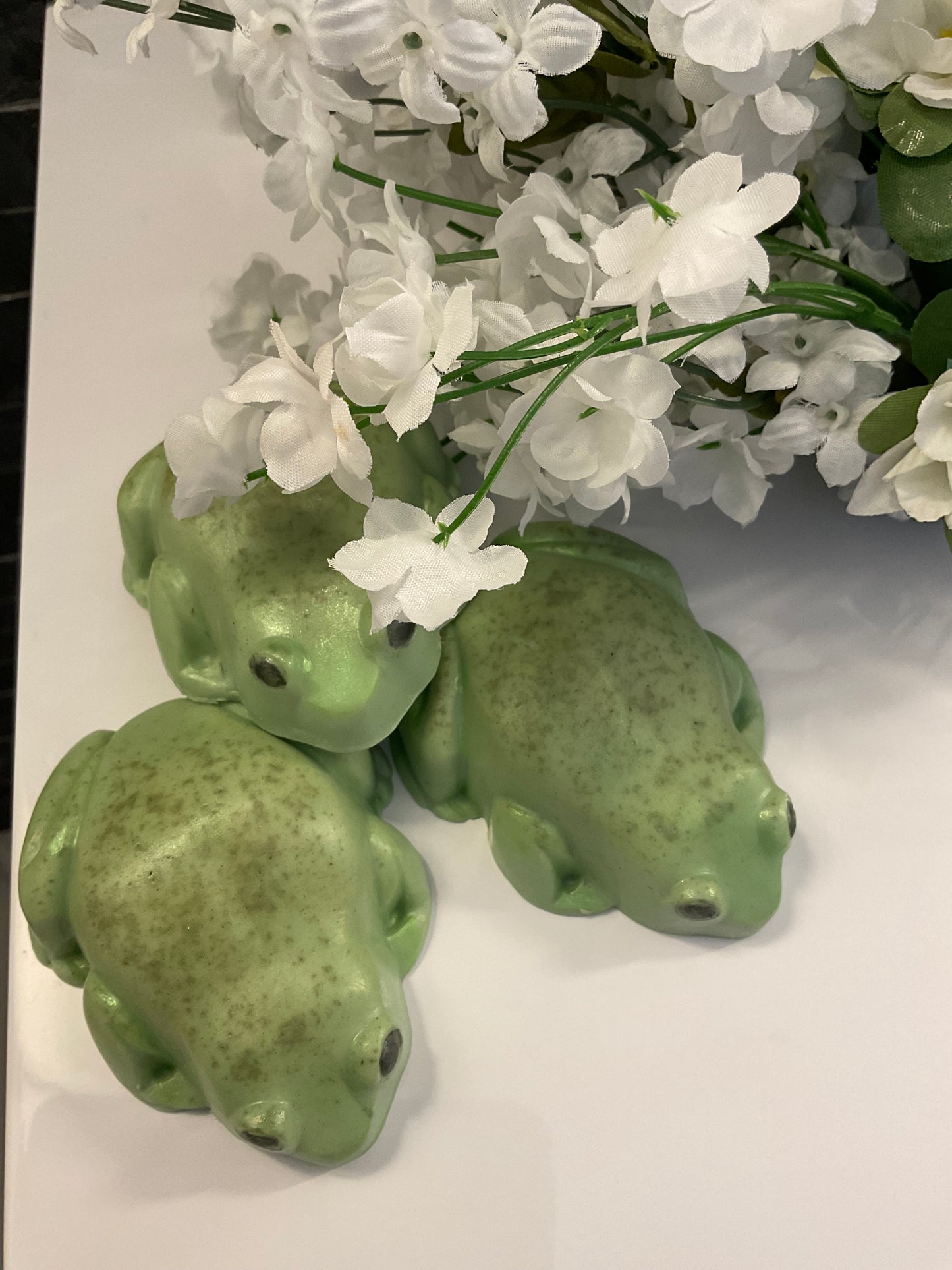Frog soap
