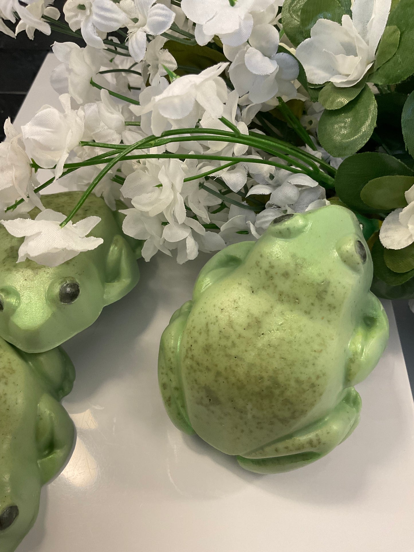 Frog soap