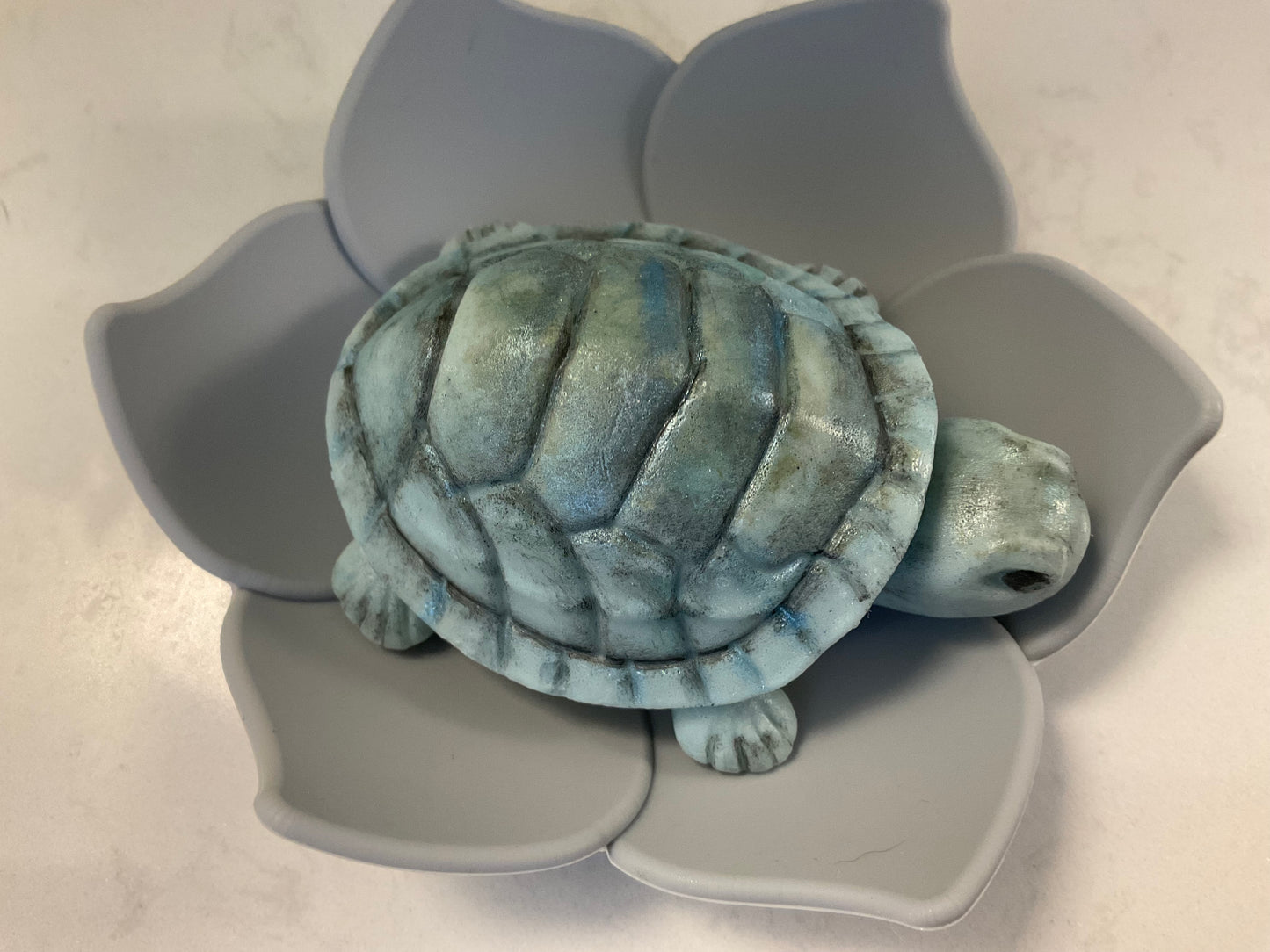 Turtle soaps