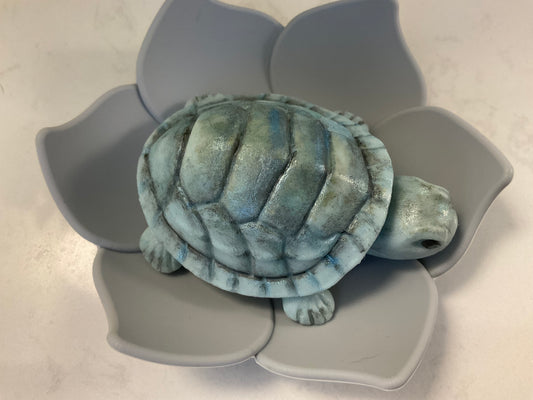 Turtle soaps