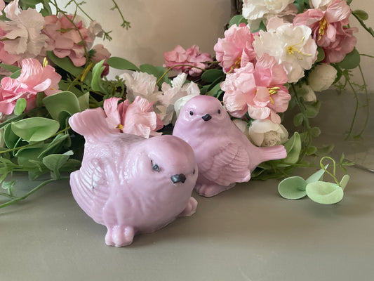 Pair of birds soaps