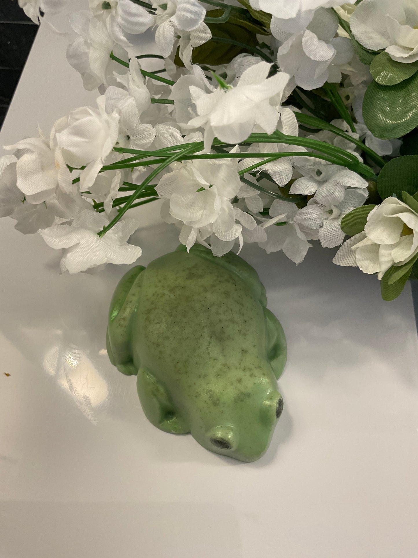 Frog soap