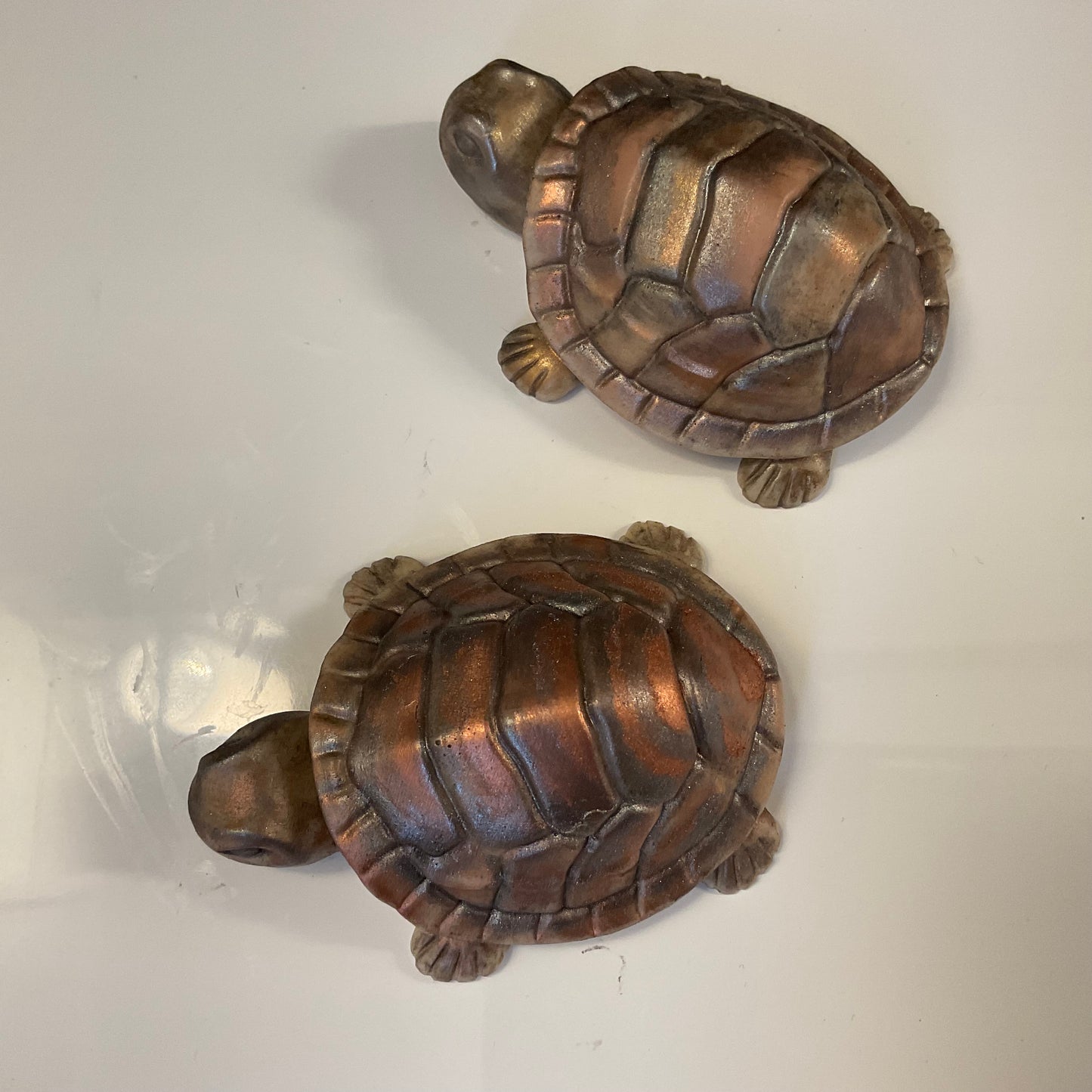 Turtle soaps